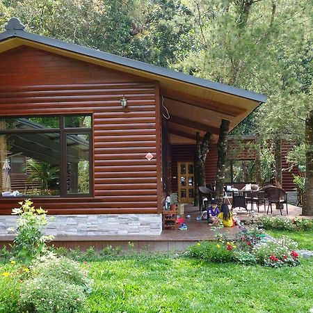 Puli Star Garden B&B Cameră foto